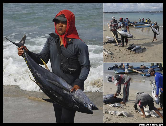 Jimbaran Playas Bali Indonesia